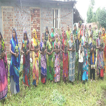 agriculture-plantation-image-3