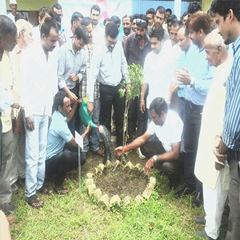 agriculture-plantation-image-5
