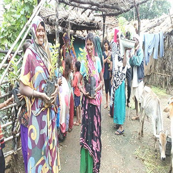 agriculture-plantation-image-7