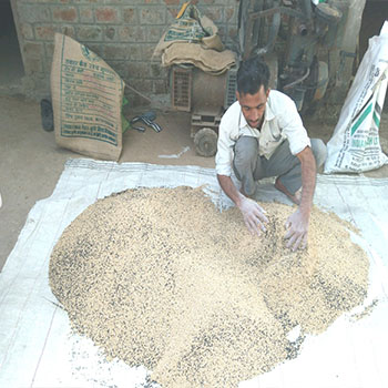 climate-smart-agriculture-image-3