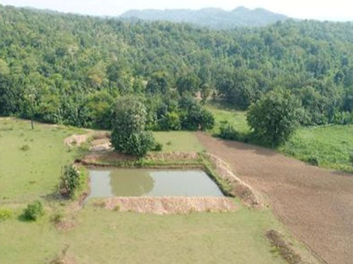 farm-pond-image-carousel-image-3