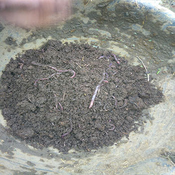 organic-farming-campaign-image-3