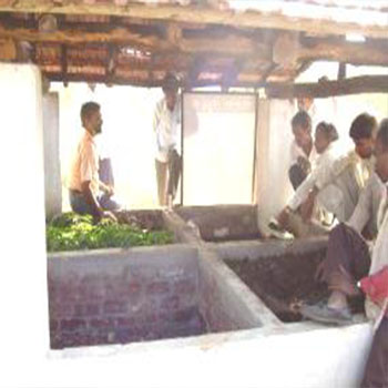 organic-farming-campaign-image-4