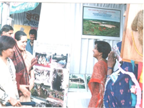 panpat-mili-image