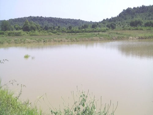 shahnagar-project-image-carousel-image-1