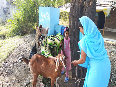 success-model-goat-rearing-image1