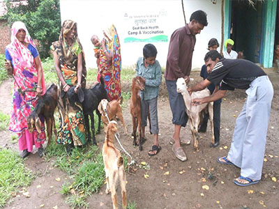 success-model-goat-rearing-image2