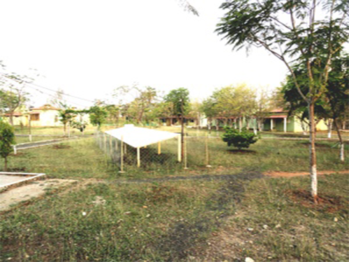 vihan-image-6