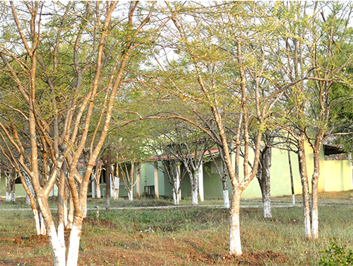 vihan-image-9